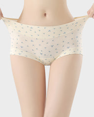 Seamless Antibacterial Cotton Boxer Panties (5 Pack)