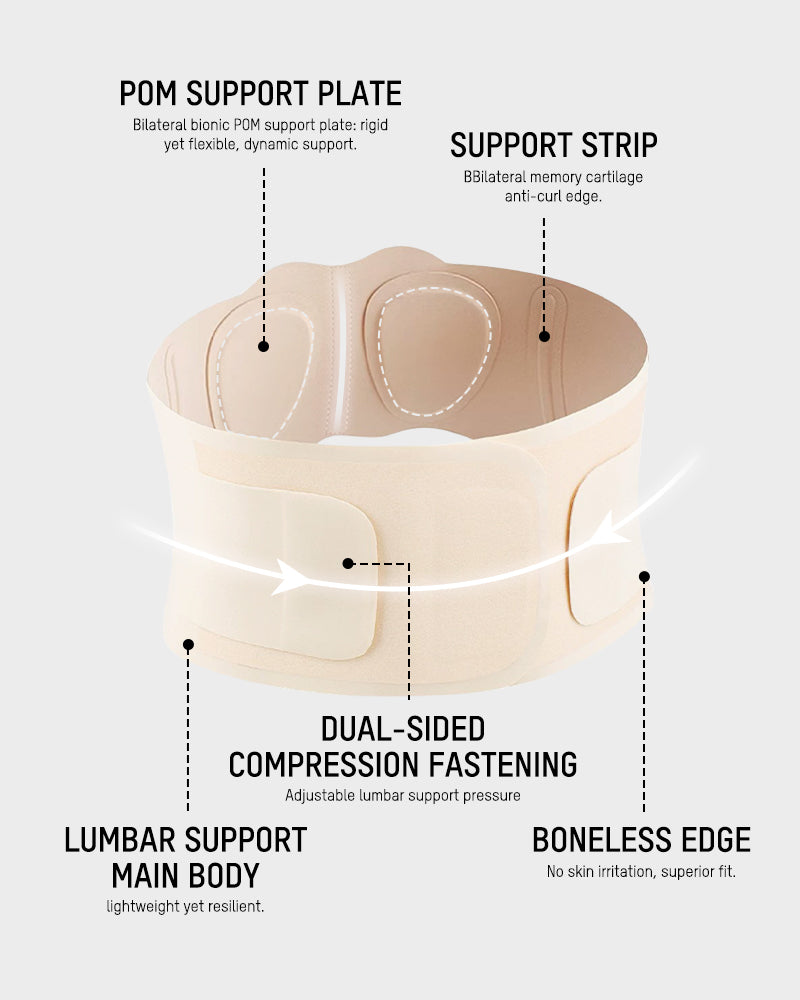 Lower Back Support Belt for Pain Relief